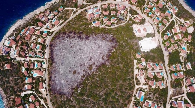 Sadece bir villa sitesi kadar alan yandı
