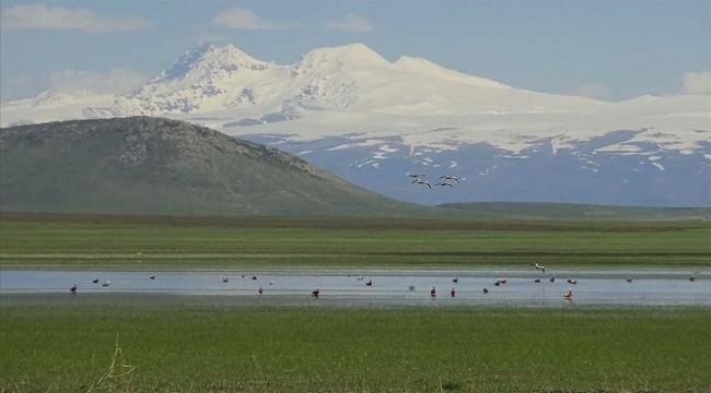 Tamamen kuruyan Kuyucuk Gölü can suyu ile yeniden 'kuş cenneti' oldu