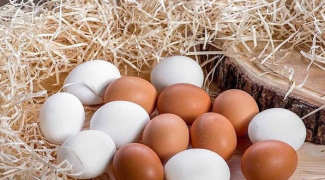 Yumurta tüketimi 'karantina' etkisiyle arttı