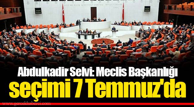 Abdulkadir Selvi: Meclis Başkanlığı seçimi 7 Temmuz'da