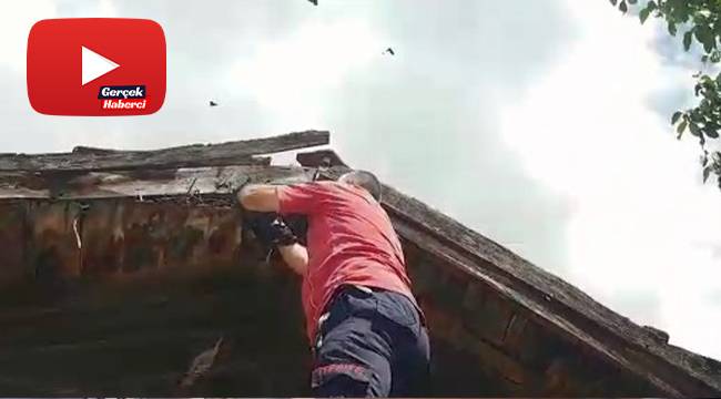 Ayağı ipe dolaşan kargayı itfaiye ekipleri kurtardı
