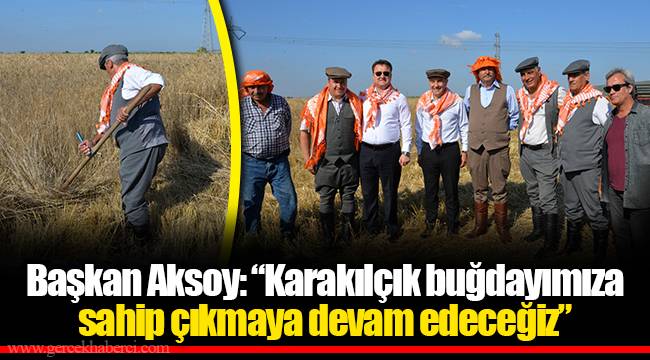 Başkan Aksoy: “Karakılçık buğdayımıza sahip çıkmaya devam edeceğiz”