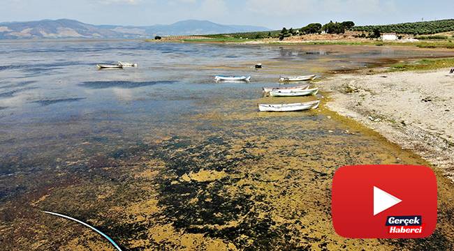 Bir zamanlar ‘kuş cennetiydi, şimdi kuraklık tehlikesi ile karşı karşıya