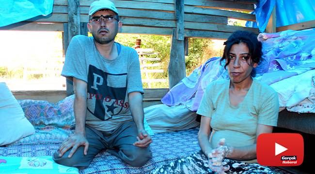Çadırda yaşayan engelli çiftin yaşam mücadelesi