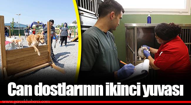 Can dostlarının ikinci yuvası 