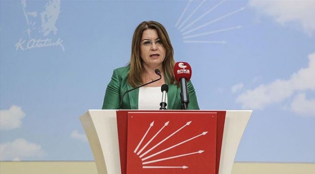CHP Genel Başkan Yardımcısı Karaca: Fosil yakıtlardan tamamen vazgeçilmeli