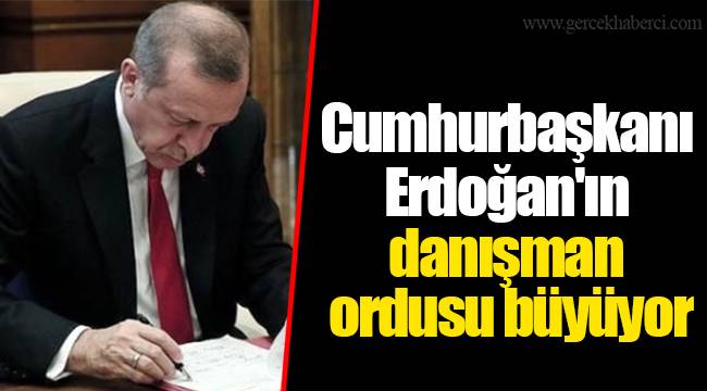 Cumhurbaşkanı Erdoğan'ın danışman ordusu büyüyor