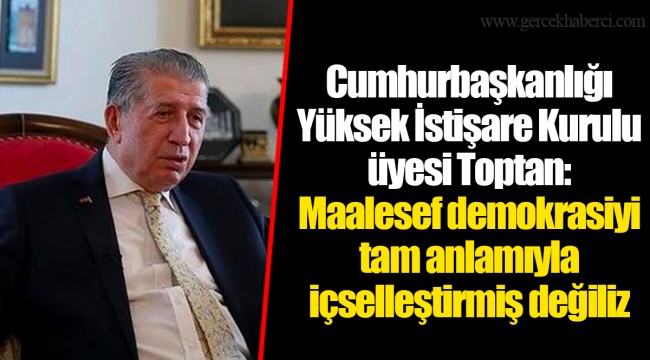 Cumhurbaşkanlığı Yüksek İstişare Kurulu üyesi Toptan: Maalesef demokrasiyi tam anlamıyla içselleştirmiş değiliz