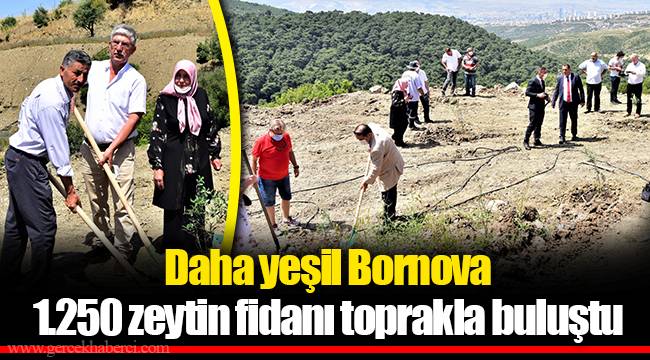 Daha yeşil Bornova