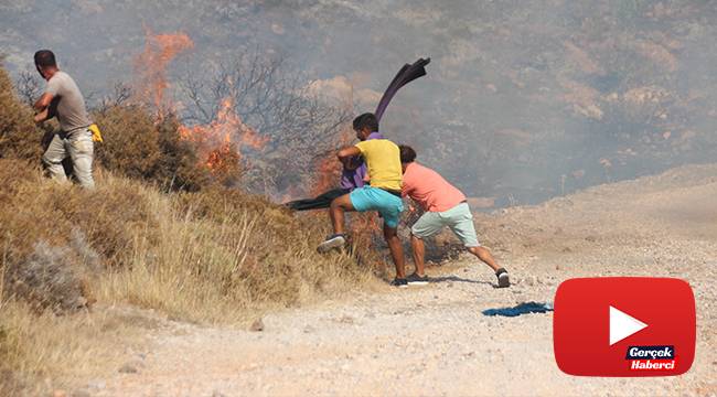 Denizden çıkan turistler yangını söndürmeye gitti