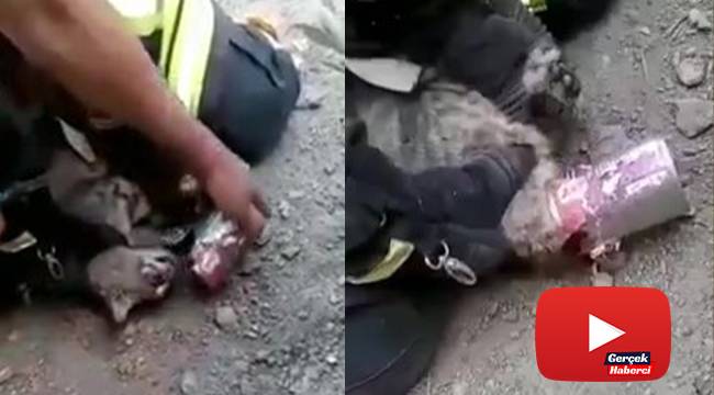 İtfaiye eri kediyi kalp masajıyla kurtardı