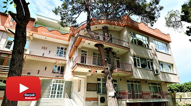 Kesmeye kıyamadıkları ağacı binanın içinden geçirdiler
