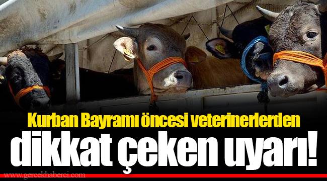 Kurban Bayramı öncesi veterinerlerden dikkat çeken uyarı!