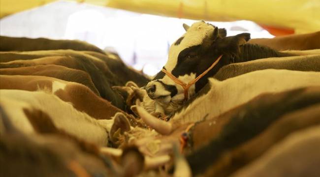 Kurban tedbirleri Resmi Gazete'de