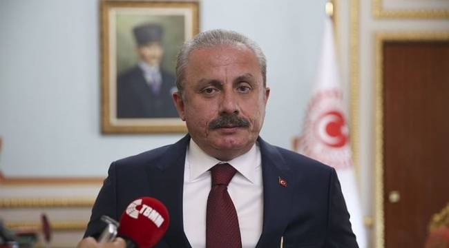 Meclis Başkanı Mustafa Şentop'tan 'Deniz Gezmiş' açıklaması: Farklı yollar izlenebilir