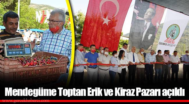 Mendegüme Toptan Erik ve Kiraz Pazarı açıldı