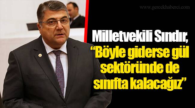 Milletvekili Sındır, “Böyle giderse gül sektöründe de sınıfta kalacağız”