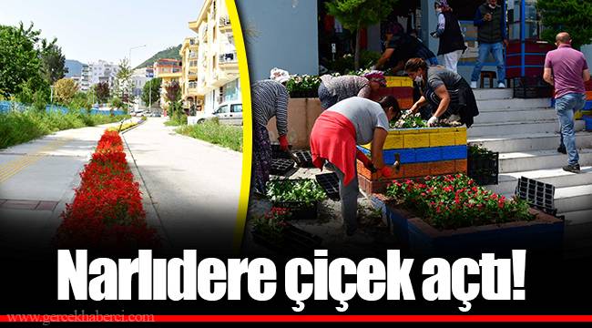 Narlıdere çiçek açtı!