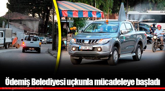 Ödemiş Belediyesi uçkunla mücadeleye başladı