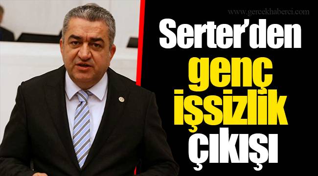 Serter’den genç işsizlik çıkışı