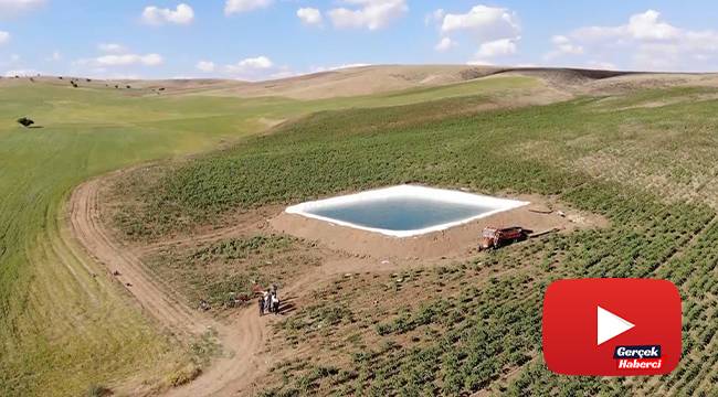 Tarım arazisini sulamak için yaptıkları dev havuzda yüzme keyfi