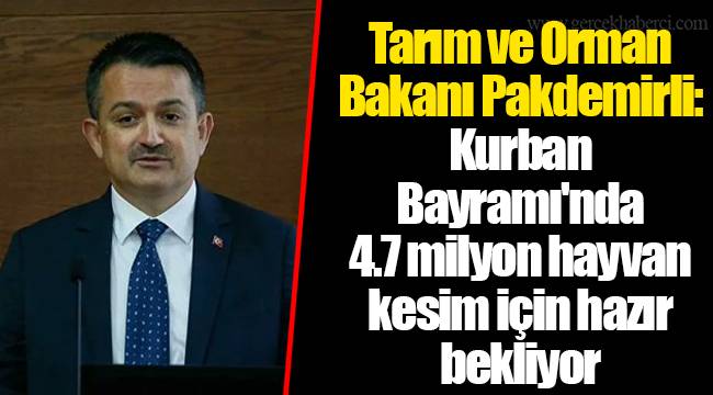 Tarım ve Orman Bakanı Pakdemirli: Kurban Bayramı'nda 4.7 milyon hayvan kesim için hazır bekliyor