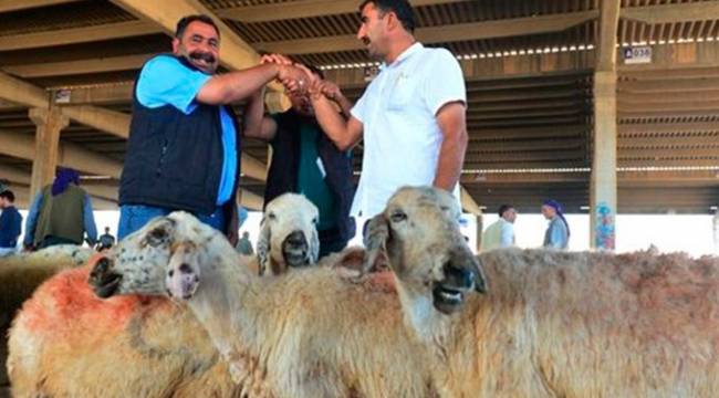 Vekaletle kurban kesim fiyatları belli oldu