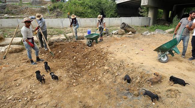 '7 cüceler' antik kentteki kazı ekibinin maskotu oldu