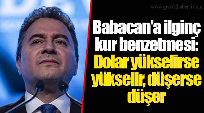 Babacan'a ilginç kur benzetmesi: Dolar yükselirse yükselir, düşerse düşer