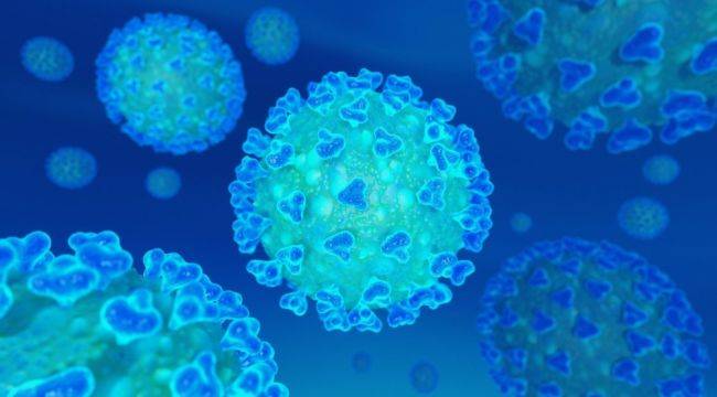 Bilim insanları Kovid-19'un 6 şeklini sıraladı