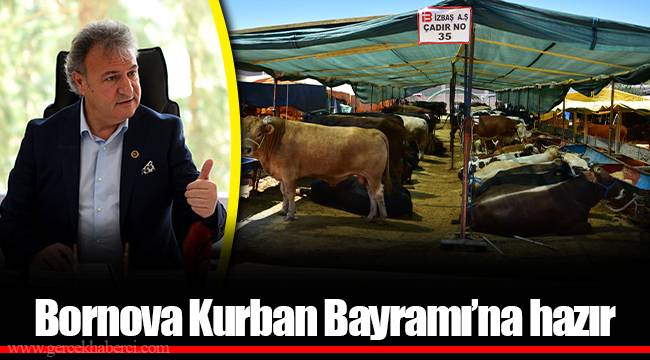 Bornova Kurban Bayramı’na hazır