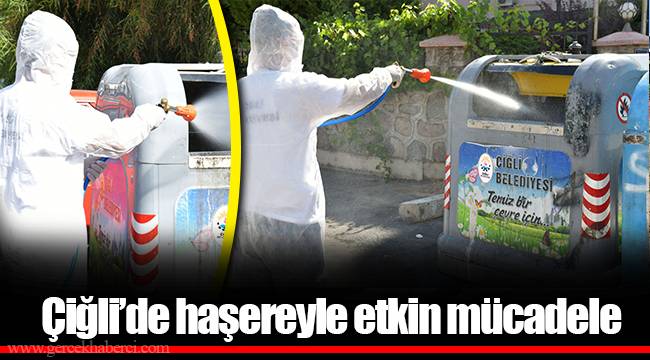 Çiğli’de haşereyle etkin mücadele
