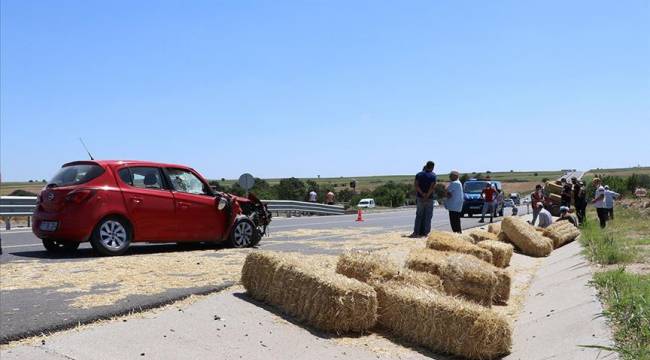 Edirne'de otomobile giren arı kazaya neden oldu