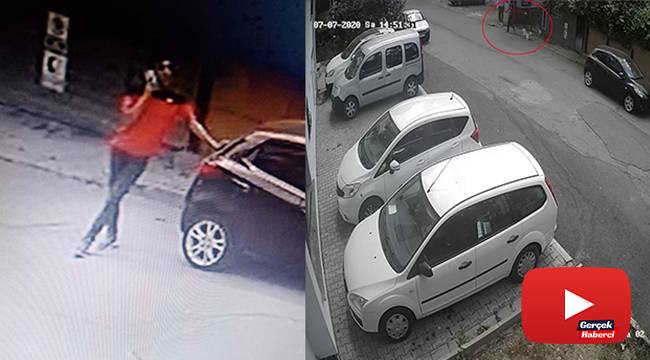 Evin bahçesindeki köpeklerin çalındığı anlar kamerada