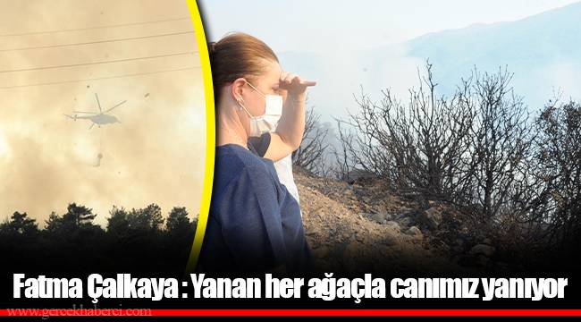 Fatma Çalkaya : Yanan her ağaçla canımız yanıyor