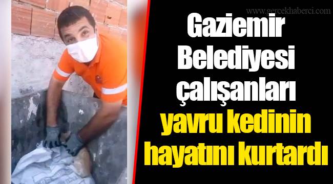 Gaziemir Belediyesi çalışanları yavru kedinin hayatını kurtardı