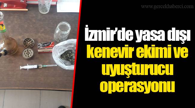 İzmir’de yasa dışı kenevir ekimi ve uyuşturucu operasyonu
