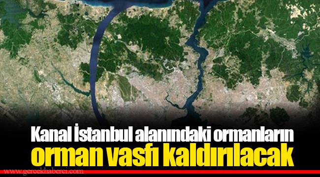 Kanal İstanbul alanındaki ormanların orman vasfı kaldırılacak