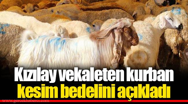 Kızılay vekaleten kurban kesim bedelini açıkladı