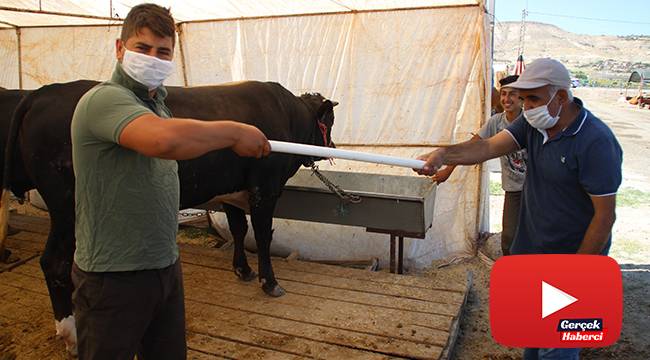 Kurban pazarlarının yeni trendi: Pazarlık borusu