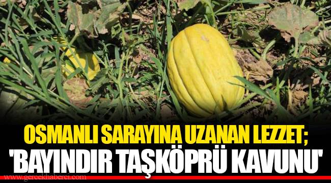 OSMANLI SARAYINA UZANAN LEZZET; 'BAYINDIR TAŞKÖPRÜ KAVUNU'