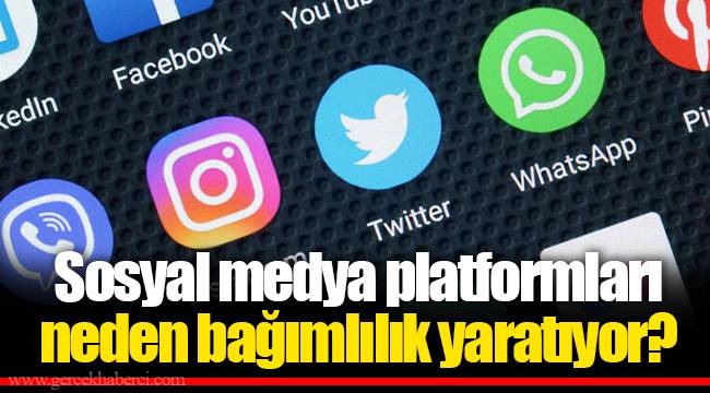 Sosyal medya platformları neden bağımlılık yaratıyor?