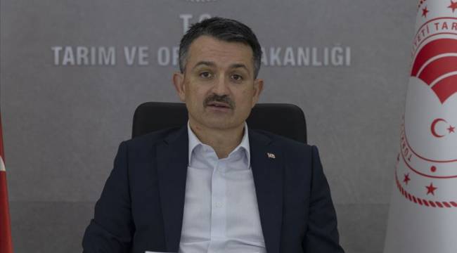 Tarım ve Orman Bakanı Pakdemirli: 665 bin ton fındık rekoltemiz var