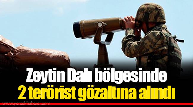 Zeytin Dalı bölgesinde 2 terörist gözaltına alındı