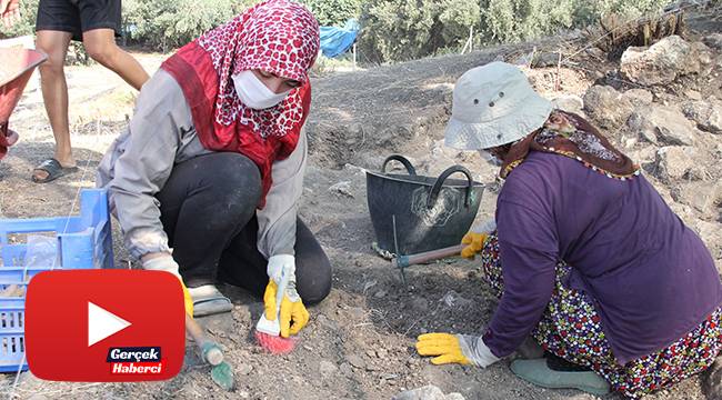 Aratos’un anıt mezarı, UNESCO Kültür Mirasının önemli adaylarından