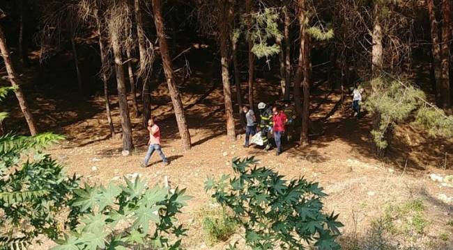 Baba ile 7 yaşındaki kızı, ayrı ilçelerde ağaca iple asılı halde ölü bulundu