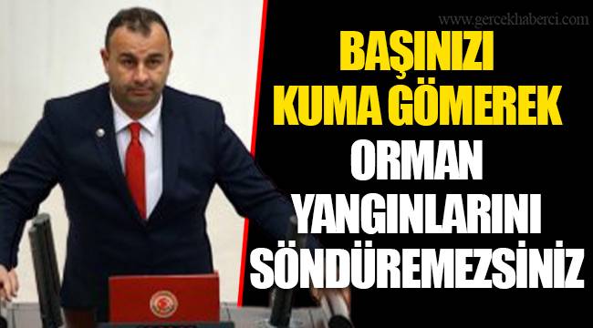 BAŞINIZI KUMA GÖMEREK ORMAN YANGINLARINI SÖNDÜREMEZSİNİZ