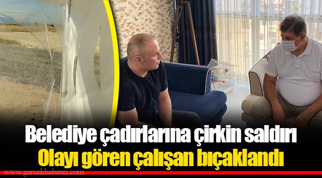 Belediye çadırlarına çirkin saldırı Olayı gören çalışan bıçaklandı