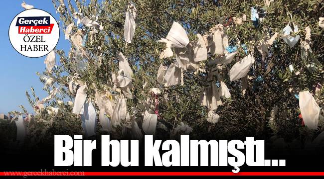 Bir bu kalmıştı...