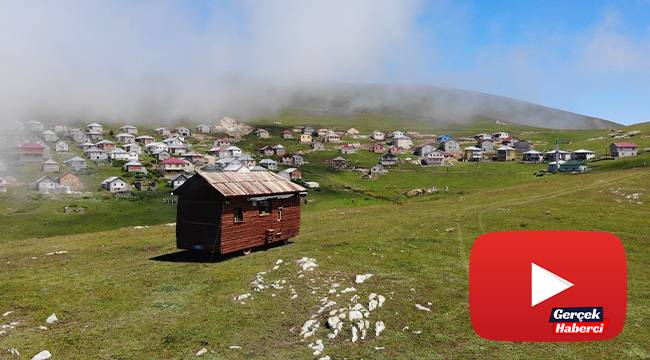 Bu ev yürüyor